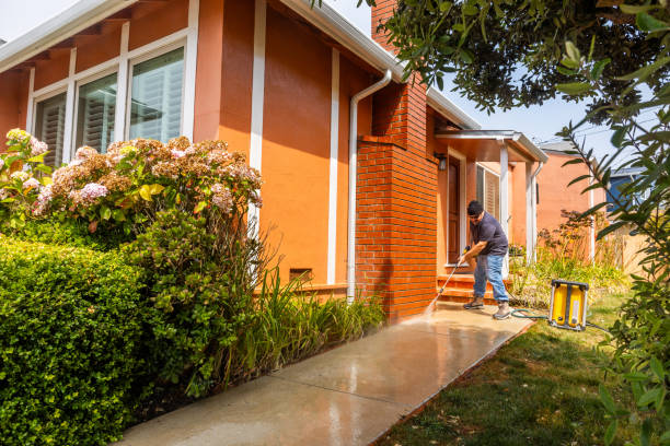 Best House Pressure Washing  in Elm Creek, NE