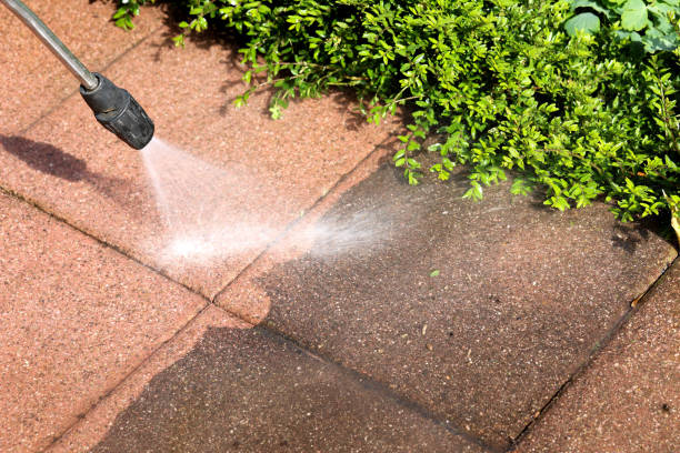 Best Pressure Washing Contractors  in Elm Creek, NE